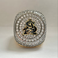 Load image into Gallery viewer, The Legend - Custom Fantasy Rings 
